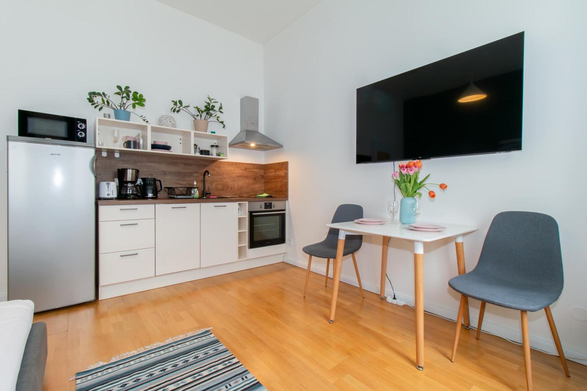 Apartment Stepanska Cr